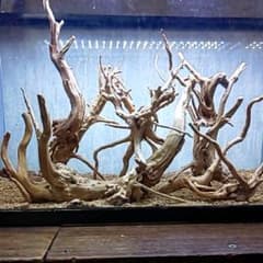 ※枝流木まとめ売り２※のサムネイル