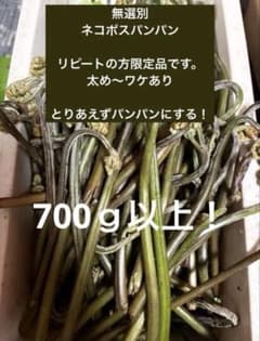 リピート様限定 無選別！ 今シーズン蕨残り2箱！のサムネイル