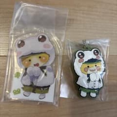 카라 피치 시바 씨 악스타 고무 매력