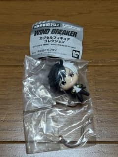 WINDBREAKER 가챠 가챠 피규어 벚꽃 하루카