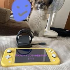 Nintendo Switch Lite ダウンロードソフト10個付きのサムネイル