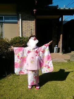 七五三　着物セット　3歳　女の子のサムネイル