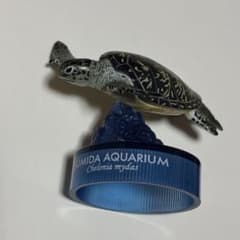 【即購入OK】すみだ水族館 ガチャ アオウミガメ フィギュアのサムネイル