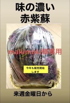 makimaki様専用 赤紫蘇　1キロのサムネイル