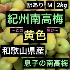 和歌山県産 紀州南高梅 訳あり M 黄色 箱込み約2kg以上 - メルカリ