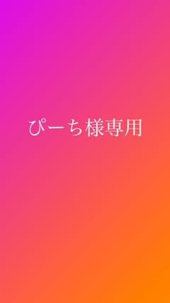 ぴーち様専用　USJチケットのサムネイル
