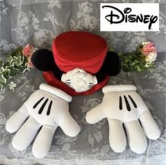 新品 フランフラン ディズニー プリンセス コラボ 壁紙 ベージュ 4本