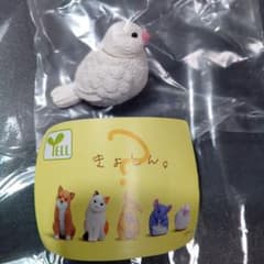 きょとん。 フィギュア 文鳥 YELL ガチャのサムネイル