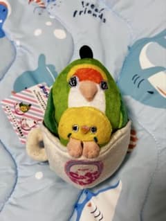 ゴルちゃん＆カチョちゃん マスコット　 コザクラインコのサムネイル