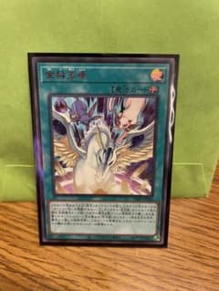金科玉条　赤シクのサムネイル