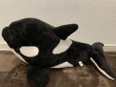 鴨川シーワールド　シャチ　ぬいぐるみのサムネイル