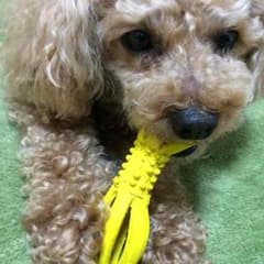 Miz0302様☆返金用のサムネイル