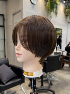 医療用ウィッグ【こだわりフィットカット済み】【人工毛】のサムネイル