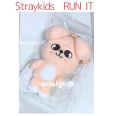 Straykids スキズ スンミン パピーム クロスバッグ E207 | Mercari
