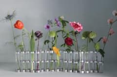 H.P.DECO 4月の花器 Tse&Tse 花瓶のサムネイル
