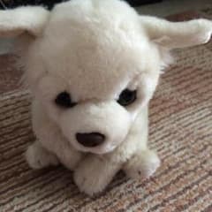 犬のぬいぐるみのサムネイル