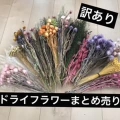 ドライフラワー　まとめ売り　花材　ハンドクラフト　ハンドメイド　セット　訳ありのサムネイル