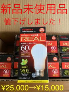 東芝　ネオボールZ REAL EFA15EL 11-Zのサムネイル