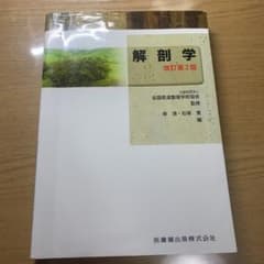 解剖学のサムネイル