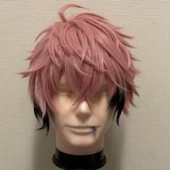 赤城ウェン ウィッグ コスプレ - メルカリ
