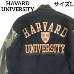 美品✨ ハーバードユニバーシティ スタジャン 本革 ウール ワッペン ロゴ 紺茶 美品✨ ハーバードユニバーシティ スタジャン 本革 ウール ワッペン