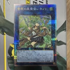 蒼翠の風霊使いウィン 25th - メルカリ