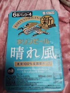 つば絢ひか様専用　キリンビール 晴れ風 500ml×24缶 ケースのサムネイル