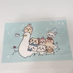 m76059201787_1.jpg?1763734070