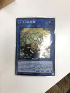 遊戯王 セラの蟲惑魔 シクのサムネイル