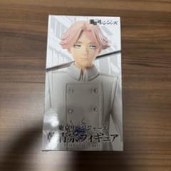Tokyo Revengers Inui Seishu Figure