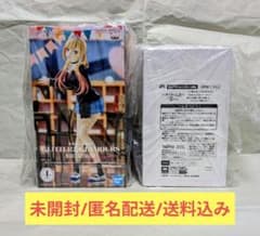 [미개봉품] 입고 사랑 키타가와 카이유메 피규어 2장 세트