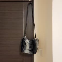 ZARAバックのサムネイル