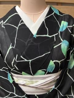 夏着物 絽　黒　葉柄 小紋　薄物のサムネイル