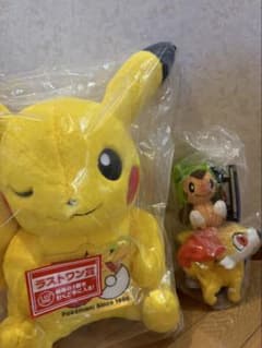 一番くじ ポケモン 30周年 ラストワン賞 ぬいぐるみ他セット - メルカリ
