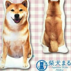 新品‼未開封‼柴犬まる  じゃまかわいいクッションのサムネイル