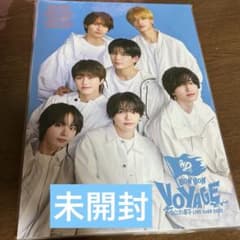 なにわ男子 パンフレット ボンボンボヤージュ 大橋和也 高橋恭平 道枝