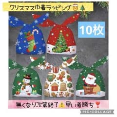 クリスマス 巾着 ラッピング 小分け 包装 10枚のサムネイル