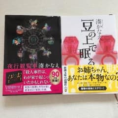 湊かなえ『豆の上で眠る』『夜行観覧車』のサムネイル