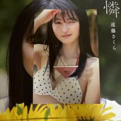 乃木坂46 遠藤さくら 1st写真集「可憐」のサムネイル