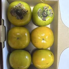 熊本県産　柿のサムネイル