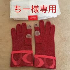 【ちー様専用】COACH 手袋＋ロゼットのサムネイル