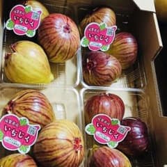 果樹組合連合会品評会で大好評 最高級イチジク4パック箱詰め　クール便配送のサムネイル