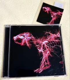 SUPER BEAVER グラデーション初回限定盤A CD+Blu-rayのサムネイル
