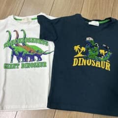 恐竜プリント Tシャツ 2枚セット 120cmのサムネイル