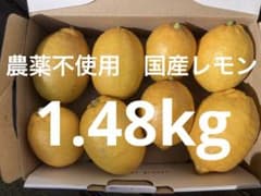 完熟 国産レモン 1.48kg 農薬不使用のサムネイル