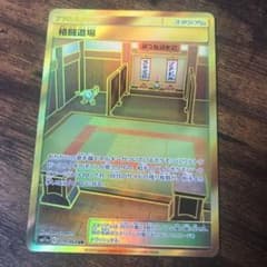 【ままろさん専用】ポケモンカード　格闘道場&怪獣マニアのサムネイル