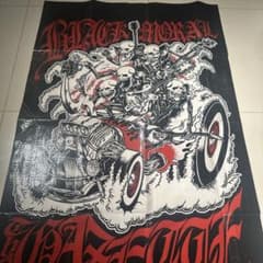 the GazettE レジャーシートのサムネイル