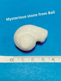 【稀少】バリ島の聖なる石　ケオン【本物】② 22gのサムネイル