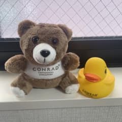 コンラッド  ベア　アヒル　シンガポールのサムネイル