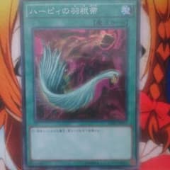ハーピィの羽根帚のサムネイル